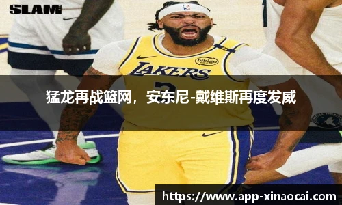 新澳彩24码