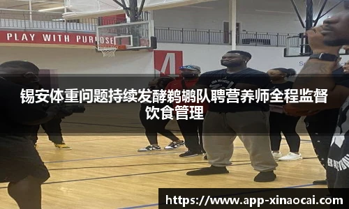 新澳彩公式