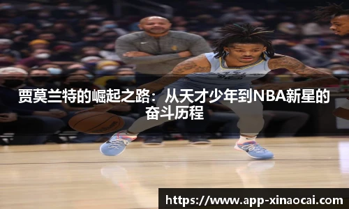 新澳彩公式