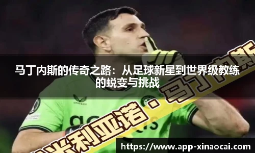 新澳彩