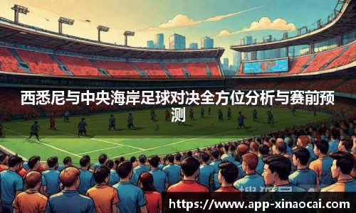 新澳彩公式